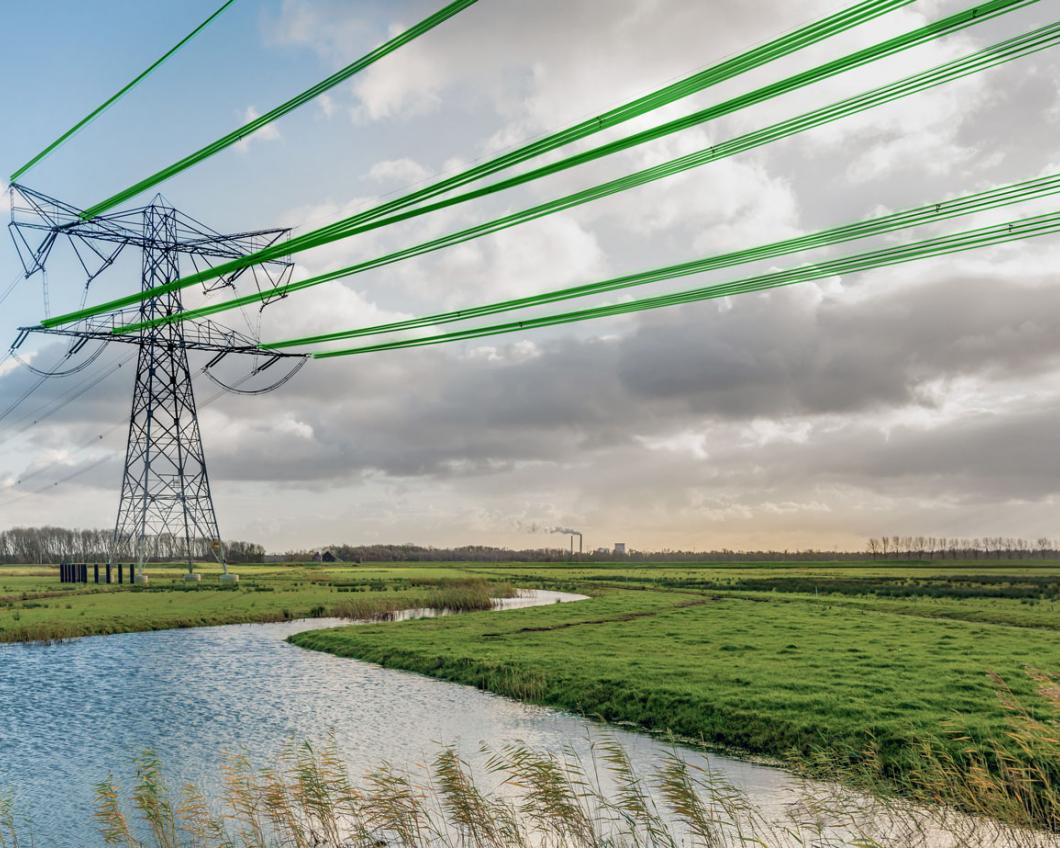 green_lines_small.jpg