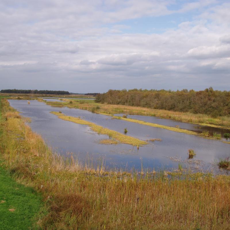 Veengrond 1.jpg